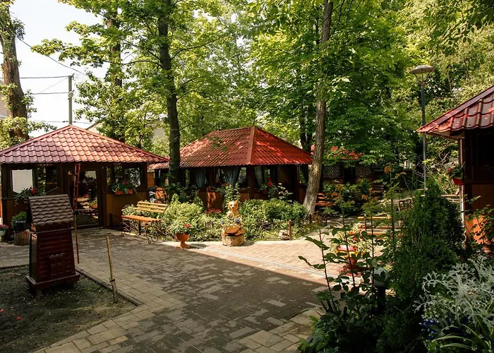 Near The Lake